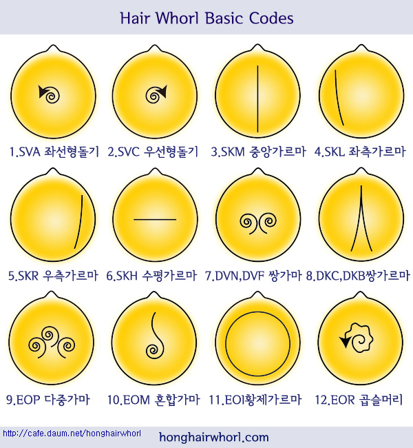 Therapy헤어 이미지