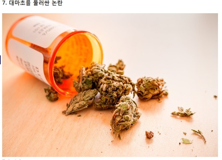 대마초에 관한 7가지 이야기 | 인스티즈