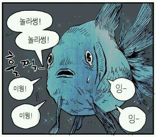열가지 신기한 사실 | 인스티즈