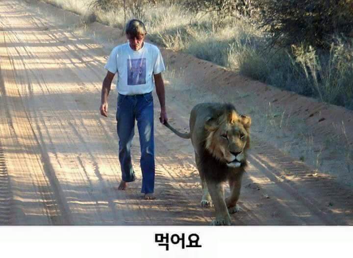일팔팔 이미지