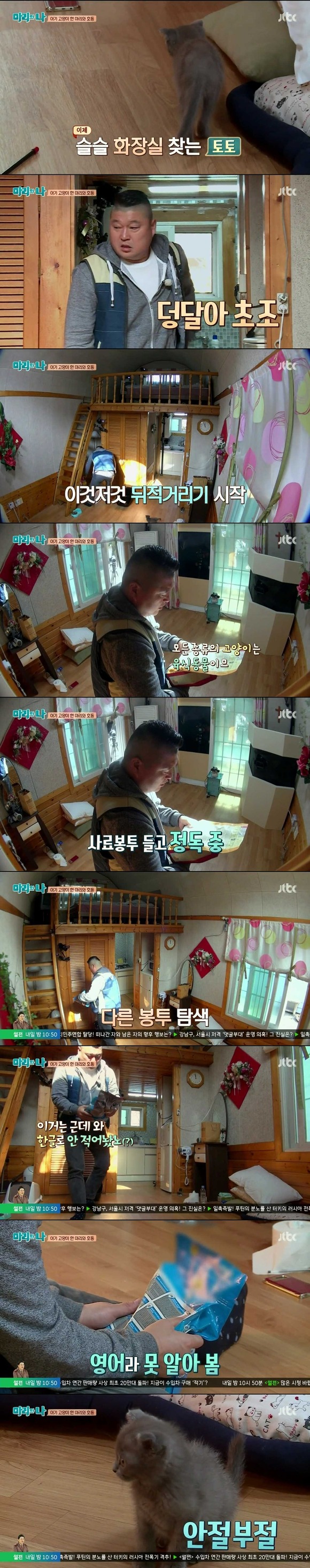 [마리와나] 케미가 냥냥 터지는 강호동과 새끼 고양이 토토.jpg | 인스티즈