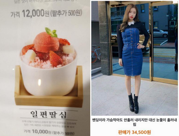 문과생들의 노력의 흔적.jpg | 인스티즈