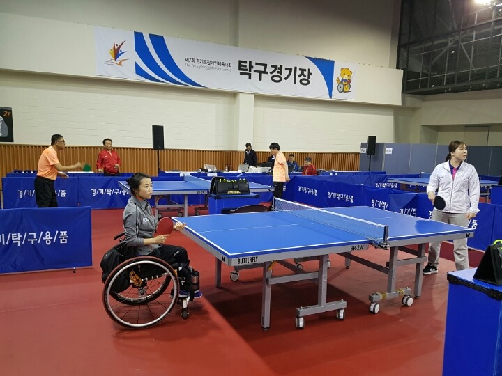제육대회 이미지