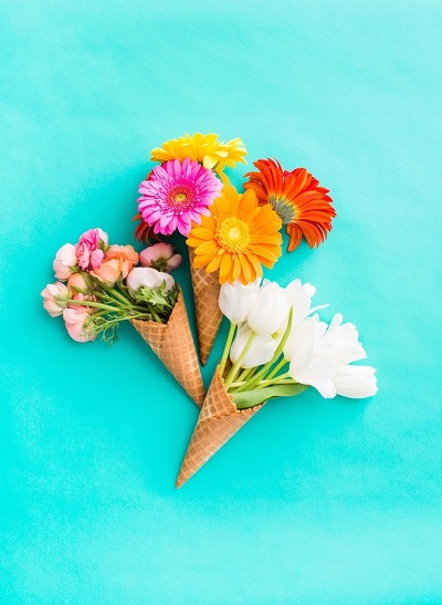 길고양이를 발로 차버리는 남자들 .gif (주의) | 인스티즈