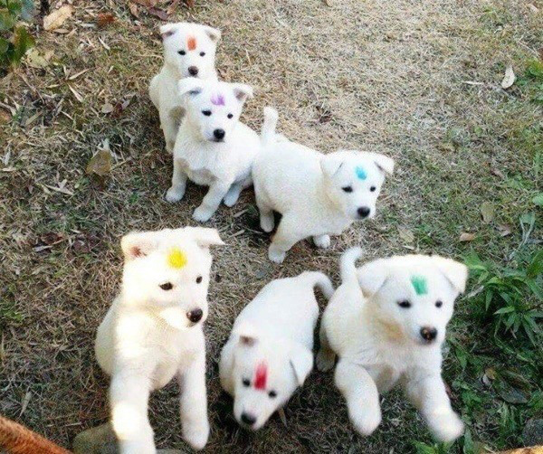 무지개들 | 인스티즈