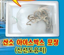 해남뻘낙지 이미지