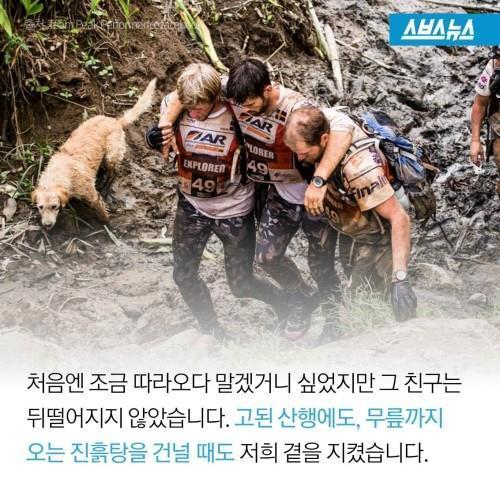 길에서 만난 친구 .jpg | 인스티즈
