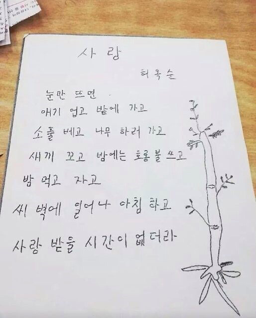 뒤늦게 한글을 배우신 할머니들의 시와 편지 모음 | 인스티즈