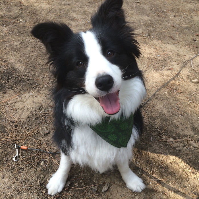 231FF9385602ABF92C490F