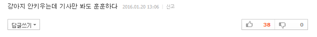 반려견이 당신을 사랑할 때 하는 행동 10가지 | 인스티즈