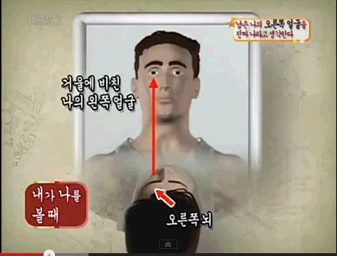 자기 실제 얼굴보다 자신이 잘생겼다고 착각하게 되는 이유 | 인스티즈