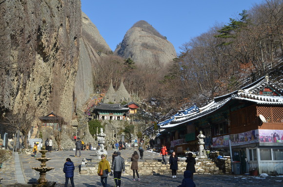 회춘 이미지