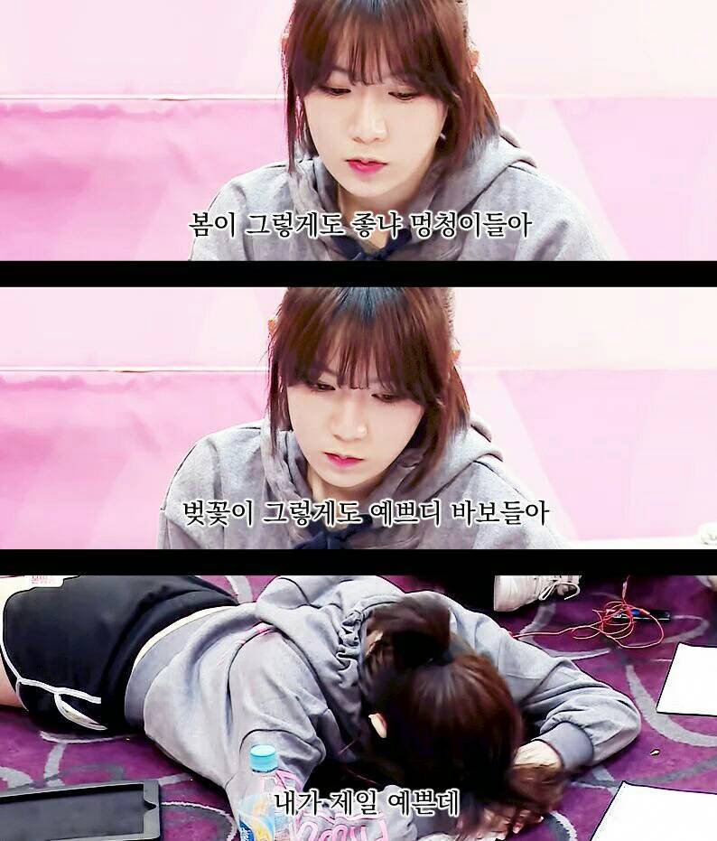 플레디스의 봄이좋냐? (프로듀스101) | 인스티즈