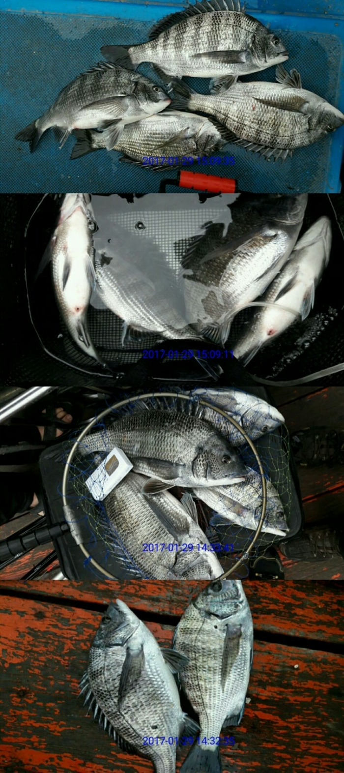 전국선외기 이미지