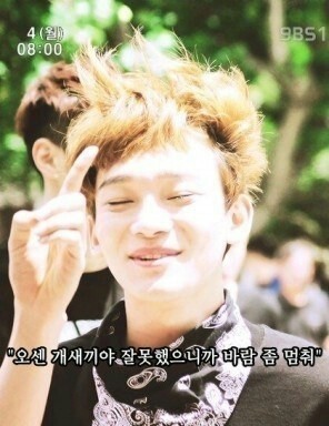 첸 이미지