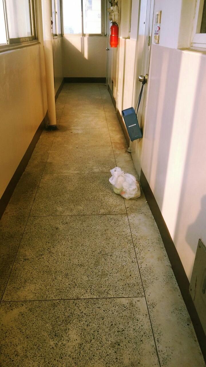 자기가 버려졌다는것도 모른체 자기자리를 지키는.. | 인스티즈