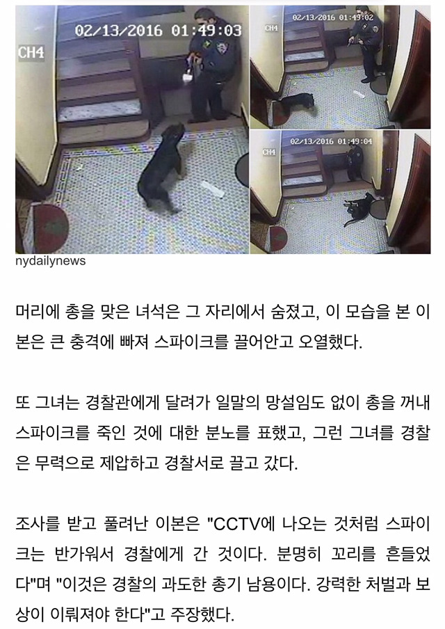 반갑다고 꼬리 치는 강아지 총으로 쏴죽인 경찰 | 인스티즈