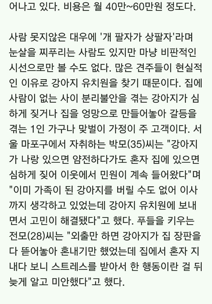 유치원 다니는 강아지들 셔틀버스는 기본 과목별 시간표도 | 인스티즈