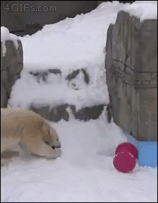 스무스하게 . GIF | 인스티즈