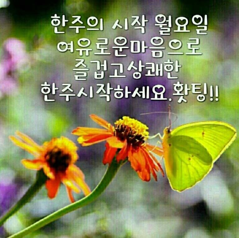 한주 이미지