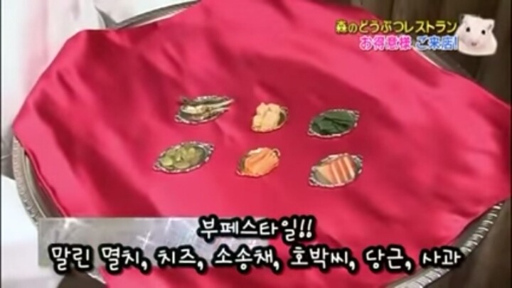 일본의 흔한 햄스터 레스토랑 (아파트 뿌심 주의) | 인스티즈