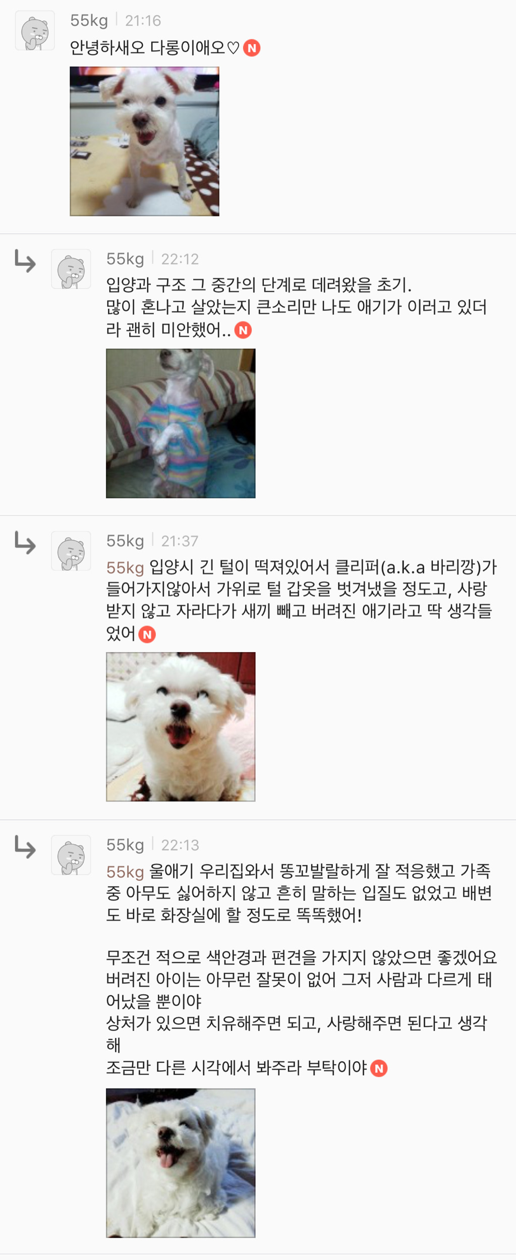 유기견 입양은 좀 꺼려져; 문제가 있어서 버려진 애들 아냐? | 인스티즈