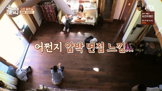 효리상순부부 압박면접에 멘탈나간 아이유 ㅋㅋㅋㅋㅋㅋㅋㅋㅋ.jpg | 인스티즈