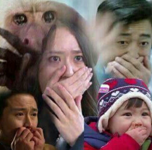 갓선미가 어떤 사람인지 궁금해서 찾아보다가 입덕함 oh 선미 oh | 인스티즈
