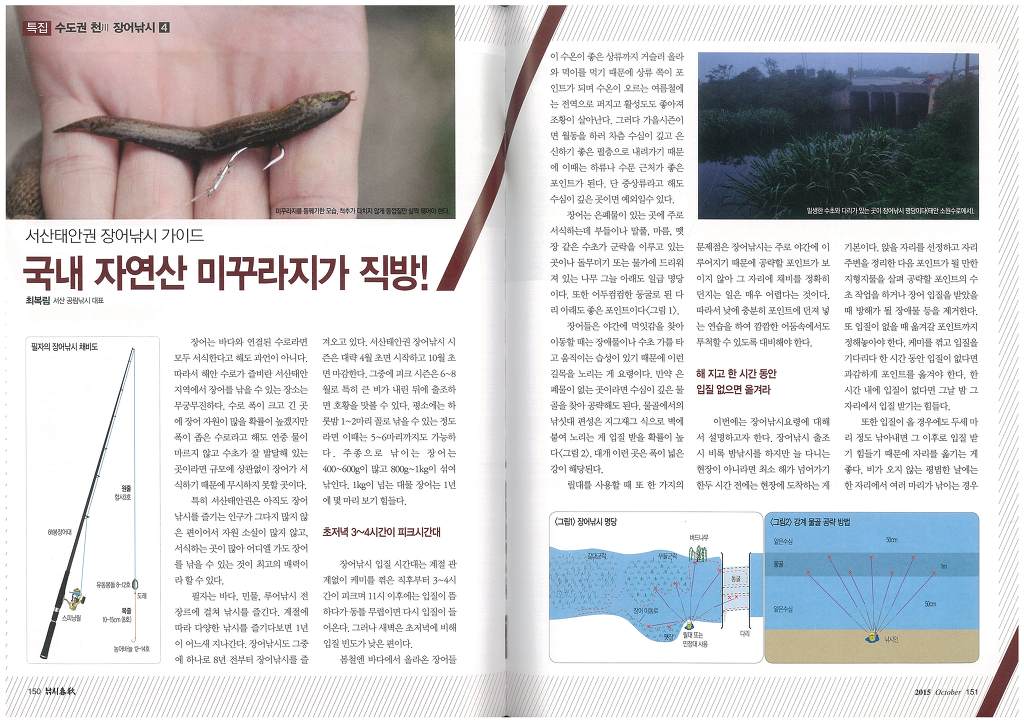 장어이야기 이미지
