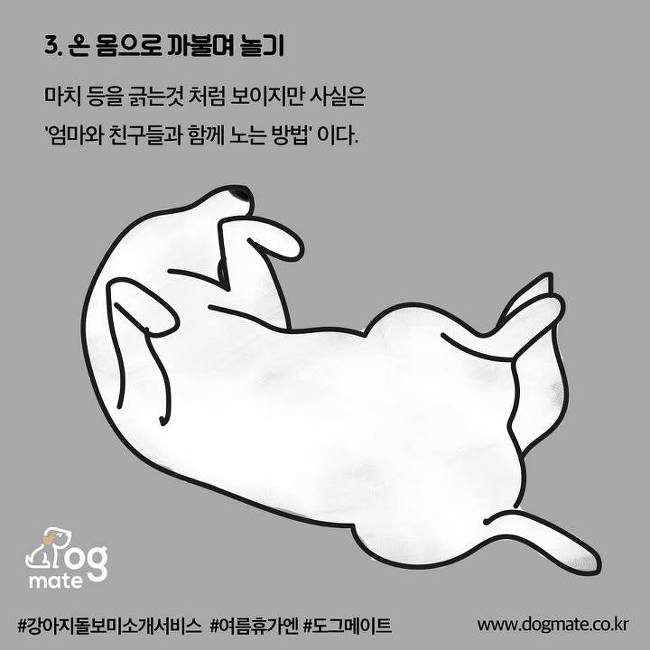 강아지가 이렇게하면 웃고있는 거라는데... | 인스티즈