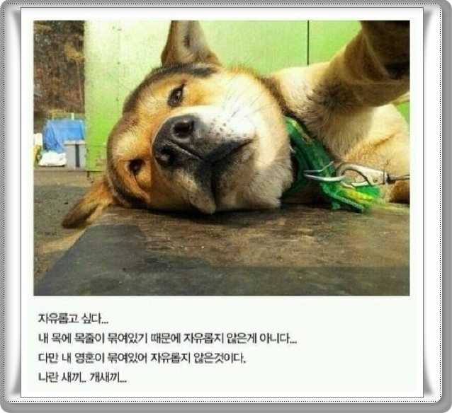 아...자유롭고 싶다.. | 인스티즈