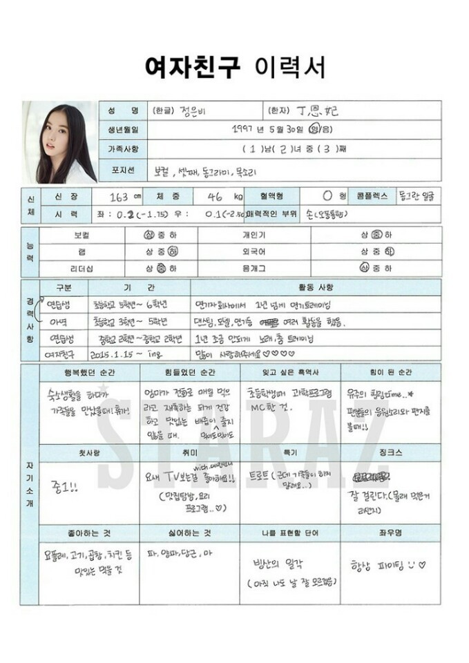 데뷔초기 여자친구 이력서 | 인스티즈