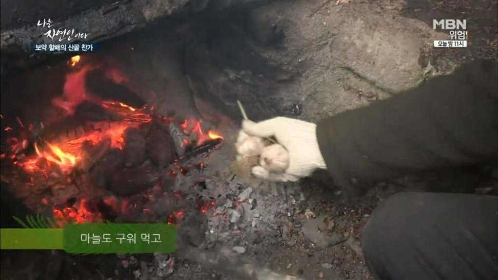 마늘 덕후 나는 자연인이다 | 인스티즈