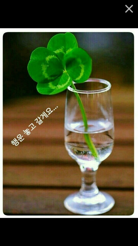 무아 이미지