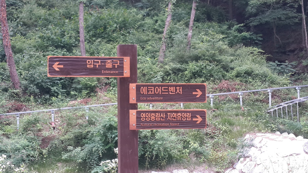 흥림산자연휴양림 이미지