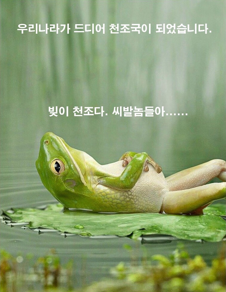 가계부채 1200조 돌파 | 인스티즈