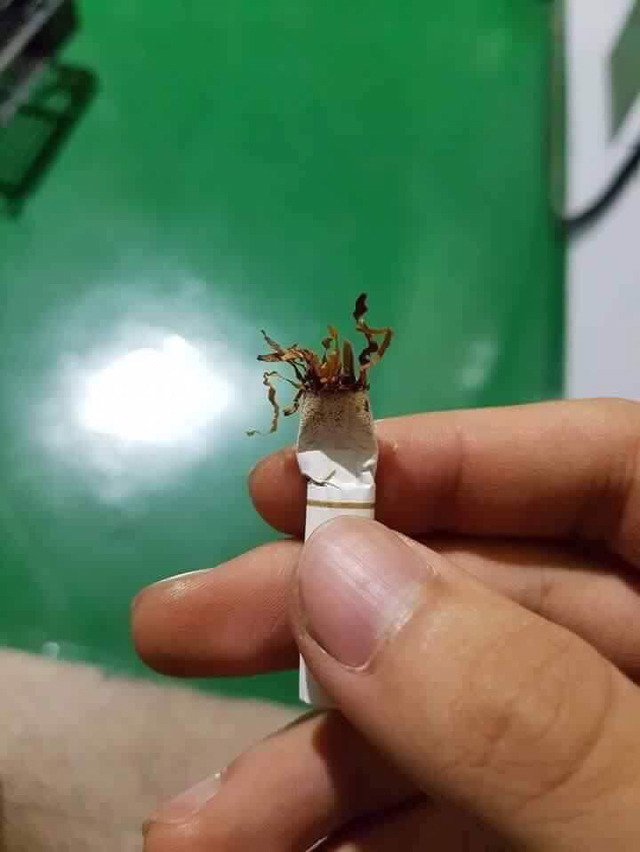 비와이와 씨잼 | 인스티즈