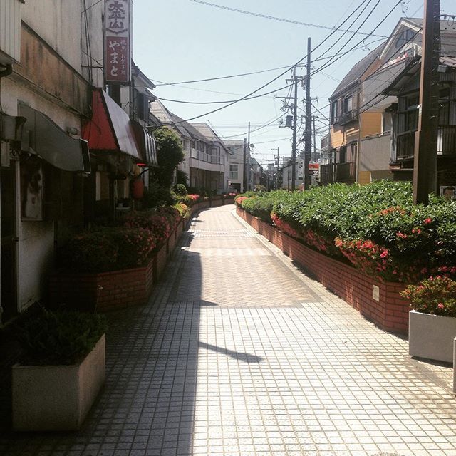 중국 일본 아무리 싫어도 딱하나 부러운점들 | 인스티즈