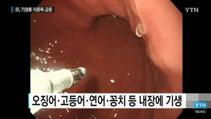 일본 여행 시 주의사항 | 인스티즈