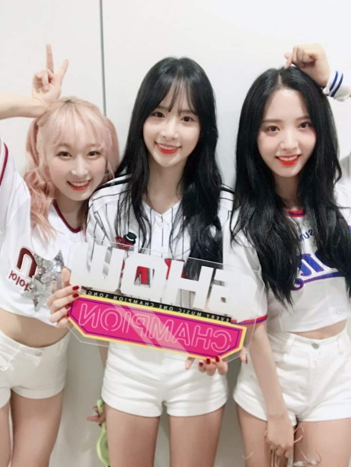 쇼챔피언 트위터 우주소녀 | 인스티즈