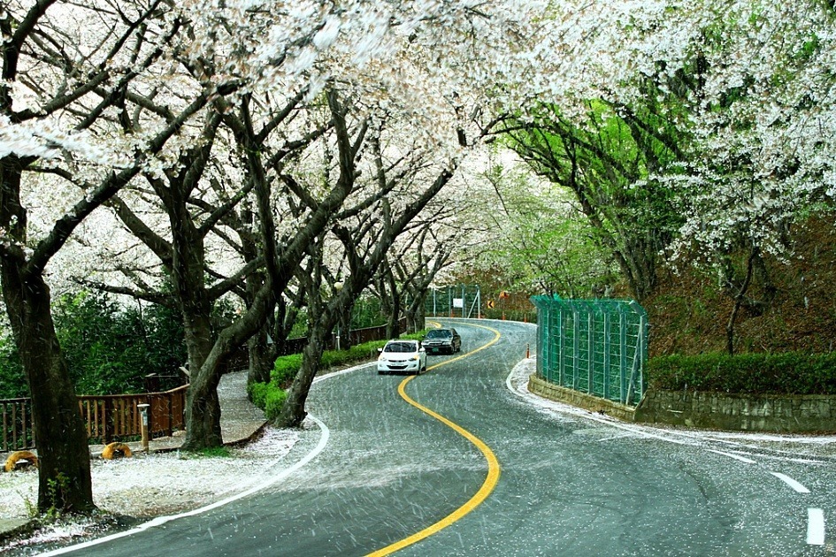 살기좋은도시로 자주 언급되는곳 | 인스티즈