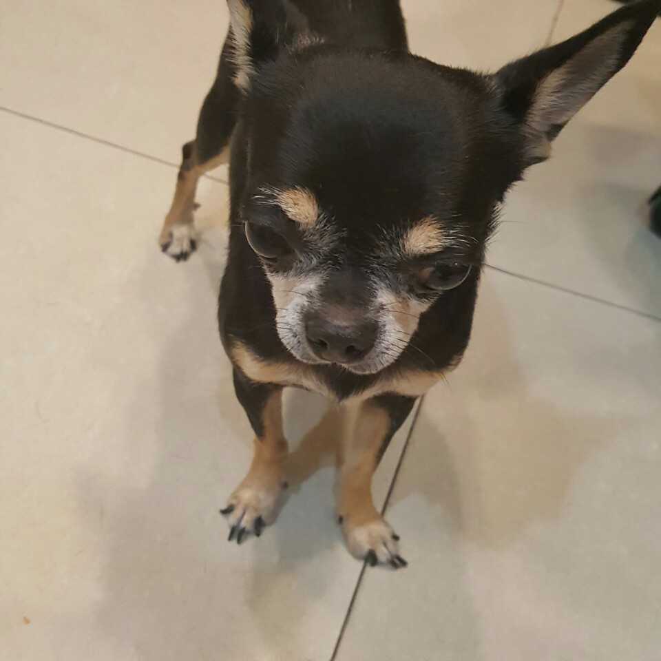 예스플러스치과 이미지