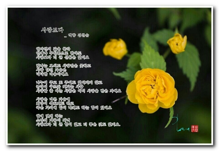 백향 이미지