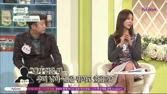 운동체질 강아지와 방콕체질 고양이?! | 인스티즈