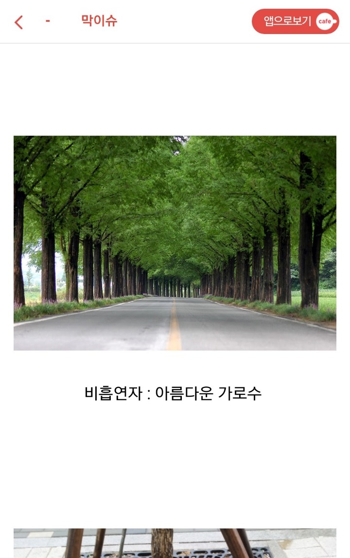 흡연자들이 시룸인 이유....jpg | 인스티즈