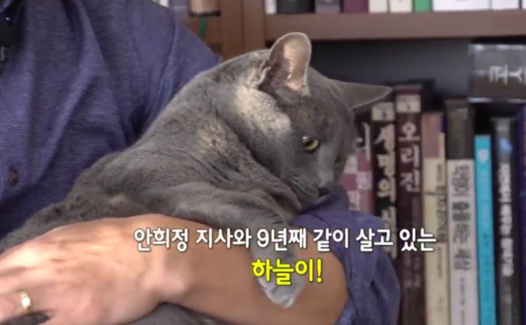 냥집사들 🐱 (사진 엄청많음 주의) | 인스티즈