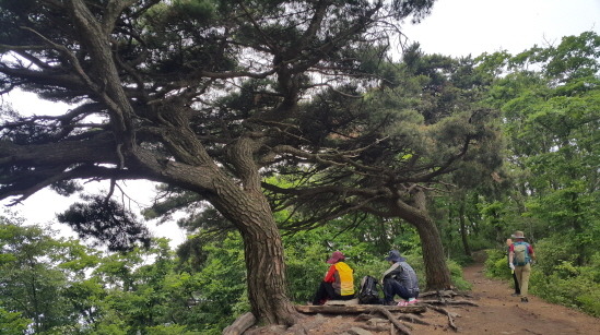대구 파계사 원당봉산표석 이미지