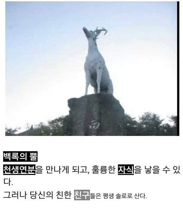 다음 중 한가지를 먹을 수 있다면?? | 인스티즈
