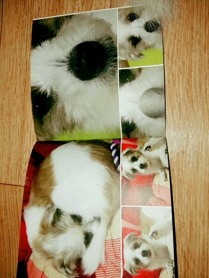 또또 이미지