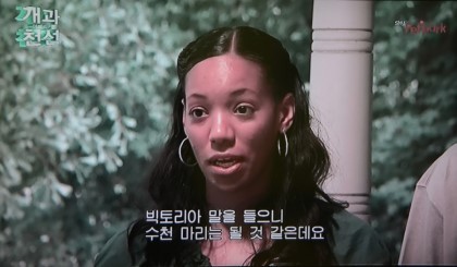 반려동물 교배에 대해 생각하고 있다면 꼭 한번 읽어봤으면 하는 글 | 인스티즈